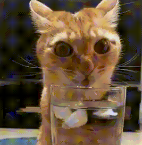 gifs18