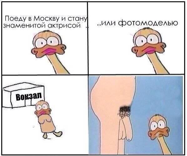 8021454