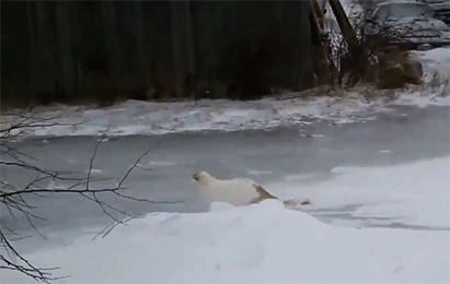 4381ffbc17144cb40ccfe4d7d144b321