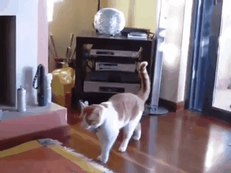 -гифки-освежитель-воздуха-3208561