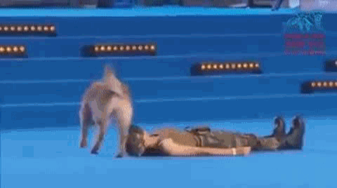 1468165775143381199_(new)