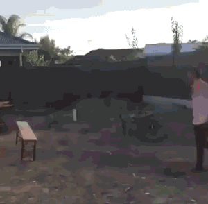 Слабоумие и отвага.