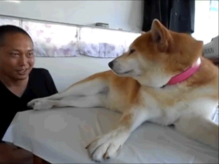 0_11fac9_b660a441_orig