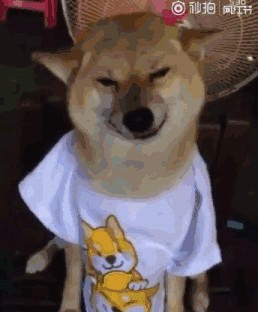 1465367600142725883_yapfiles.ru