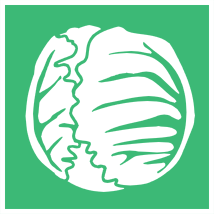 cabbage