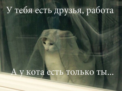 ddbe2edf4726305885a3f61e7c9d1034
