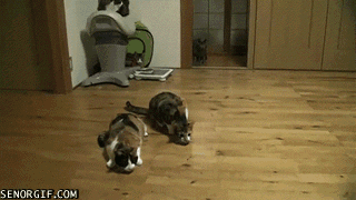 0_7cc1c_3c4b698f_orig1