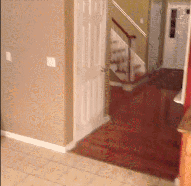 gif_2