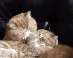 13664811_1094992903924790_1061992956_n