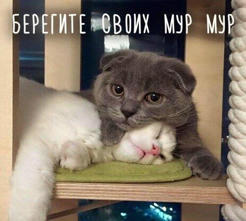 13775983_811693082265672_4854565018584920777_n