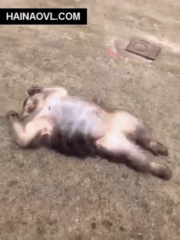 примчались санитары