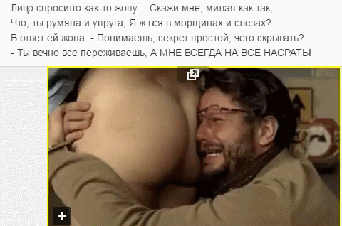 жопа