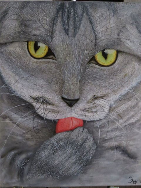 13599826_1644890069166608_7619180816985434580_n