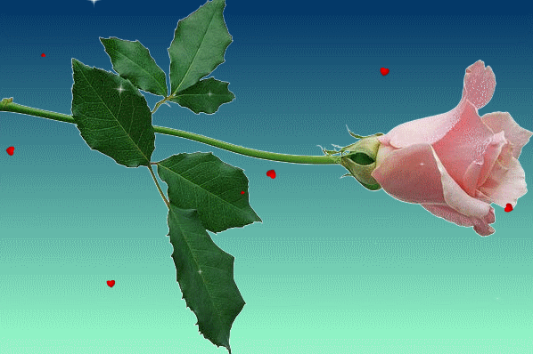 Днём Рождения!