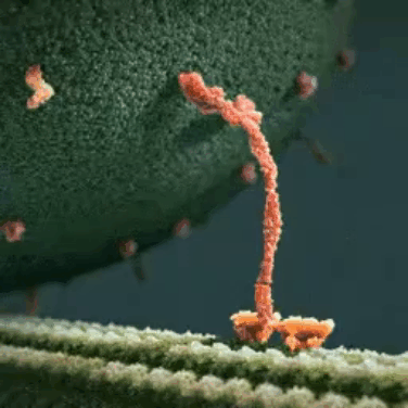 video_7