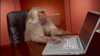 When WiFi suddenly stops working... - Imgur