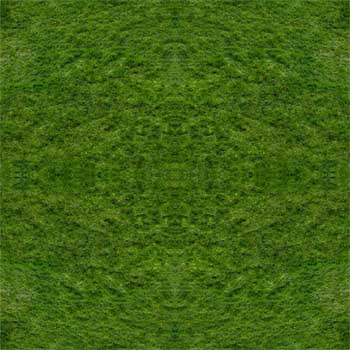 gras 2+