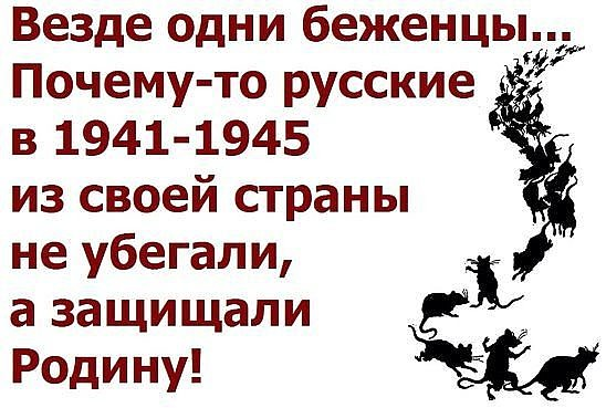 Беженцы