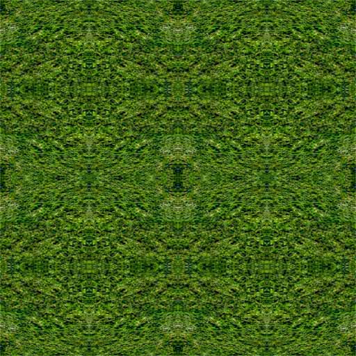 grass 2+++
