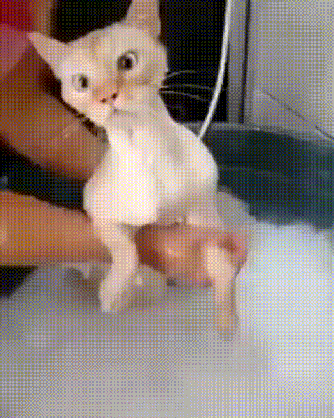 Безысходность выглядит так.....))