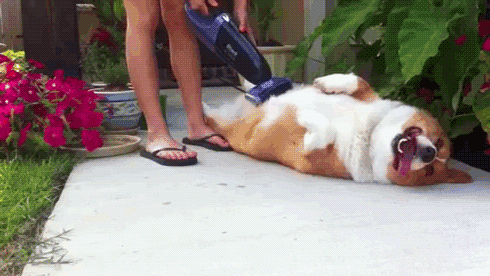 anigif_enhanced-buzz-6198-1376652084-0