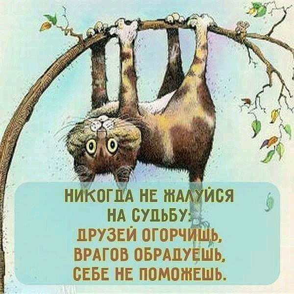 Совет