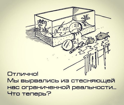 2d8598bae1e22b0cfdc8f871c4764a74