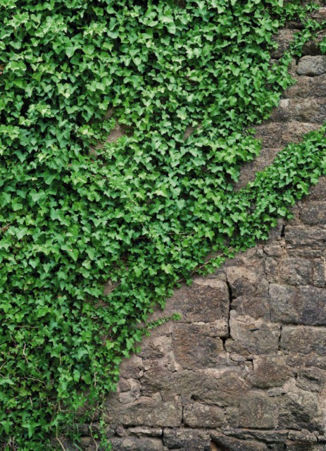 c7a665b9e64f9092a6d20727d6b9a8fb