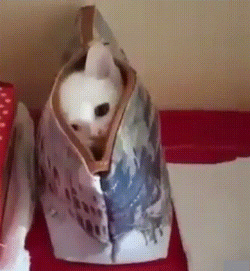 998e785a3cfba1b1f6e1d3018827e9b17623d4d6815b5c41111368696249cb76_1