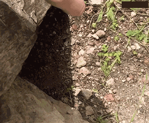 0abbce8ba58713d8ae3946dc567206fccbb8fb70985c7c243b04cb4e89a943da_1