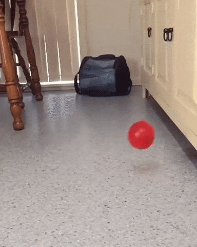 1470288622-bdab7601357050b4f83d2205d84f7408