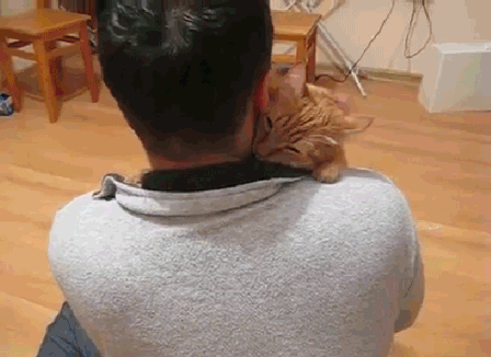 https__vk_com_gif_fak