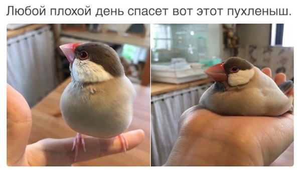 147275182815383630