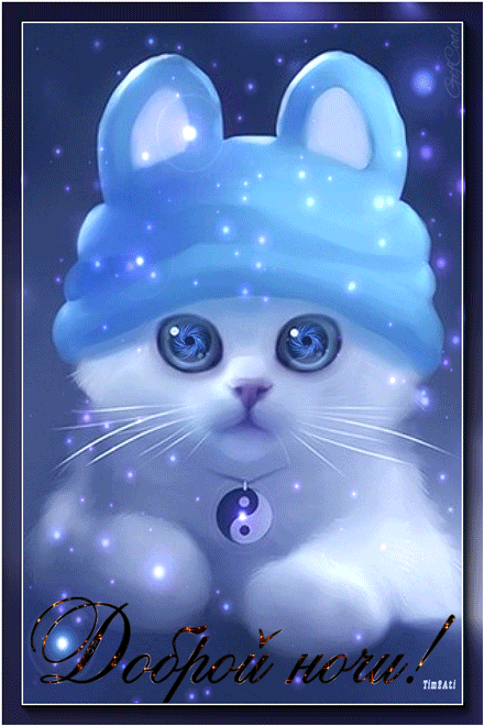 2196-baby-cat-free-iphone-wallpaper-hd_640x960_5e224002b1fd25e8d6cc5d68d328ab70_raw