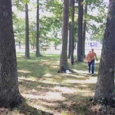 -скилл-акробат-3350432