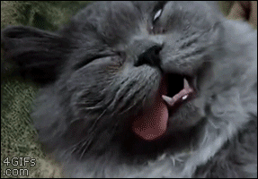 Sleepycatwakesup_yapfiles.ru