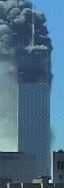 WTC Collapse
