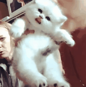 ad03d4e77834f0d029f9b3d89ea0a09e2c6c430aebe6d5949adaf278bbf213c3_1