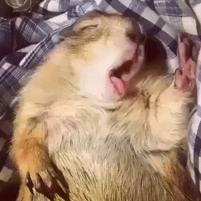 4181f91f3ccde66755ff440666ad0c698278b221800e781a38b3259a645fb42d_1