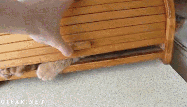 https__vk_com_gif_