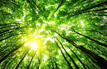 shutterstock_95661016