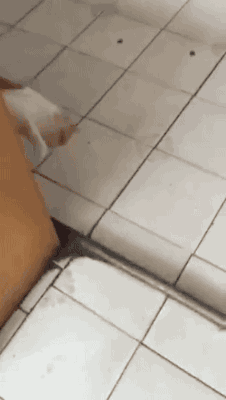 1475329748-d608cd56a2e17dc6bcd90e306c273002