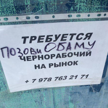 8268205