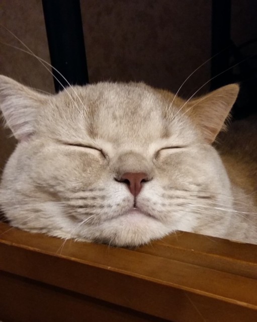 20160314_211842_1473413110210