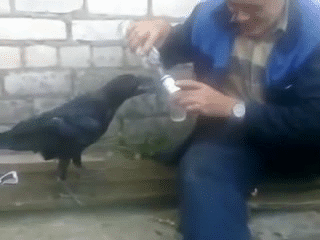 Опохмел