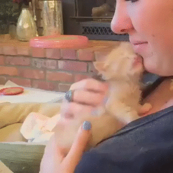 5c76bc270db575a7c1b458124a6ab877