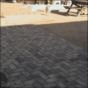 ccef75448c3d16207ccae1f0165decd8