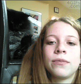 cat0