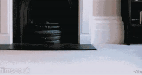 ezgif.com-video-to-gif