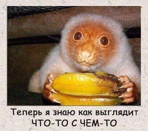 eb2da5af9c2f946fdef436f9023b62ee